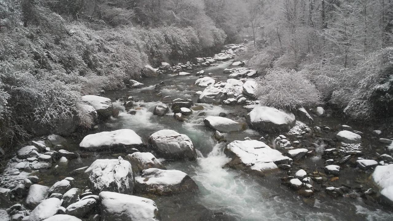 B&B Arquino Sondrio Dış mekan fotoğraf